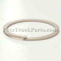 RING-BACKUP 1495240