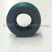 Seal-Lip Type 6V5029
